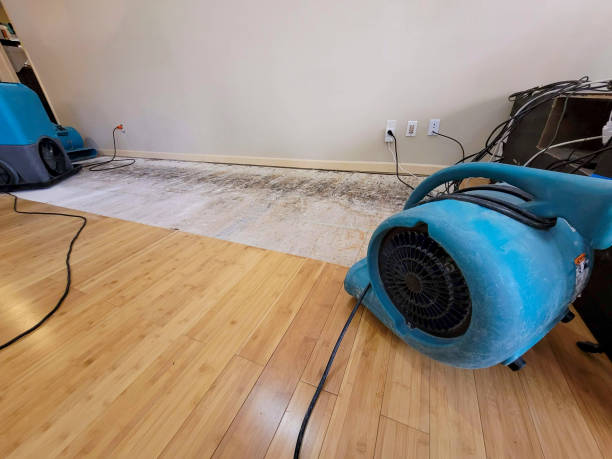 Professional Ceiling Water Damage Repair technician working in Ridgewood, IL